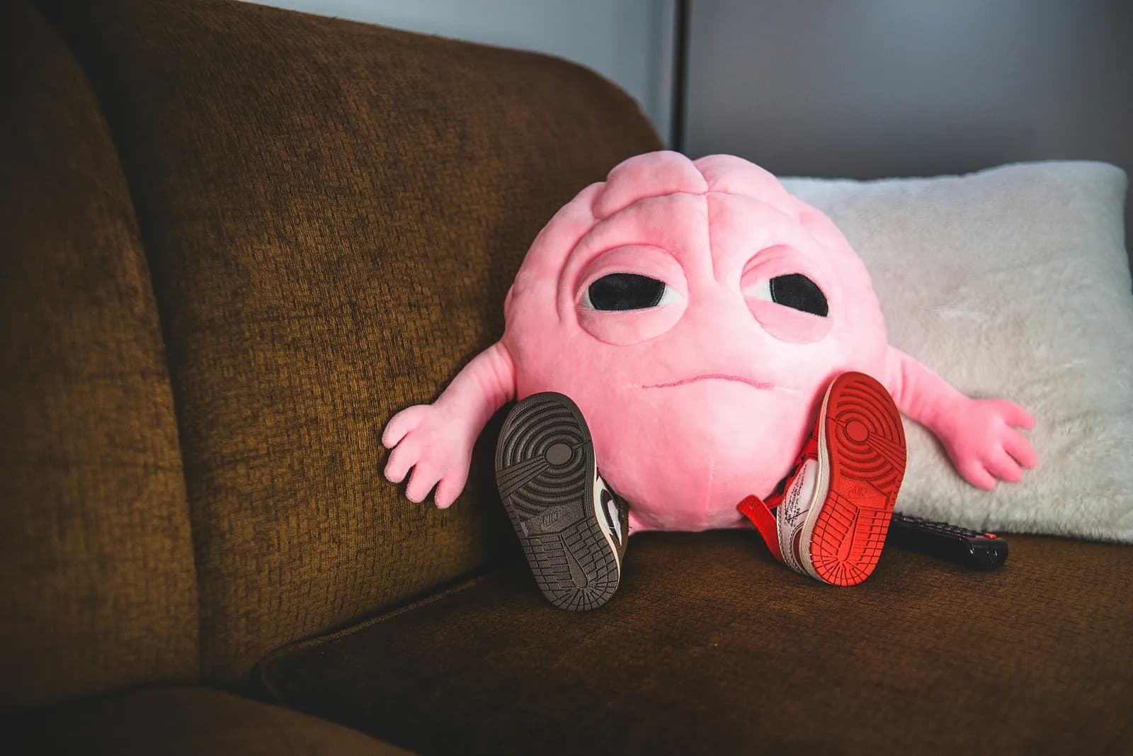 Uyurken Beyniniz Kendini Temizliyor