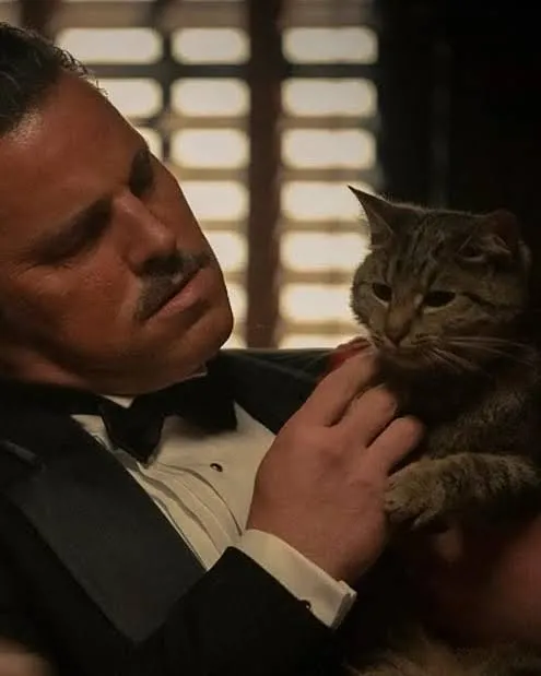 The Godfather'ın En İkonik Sahnesindeki Kedi Planlı Değildi