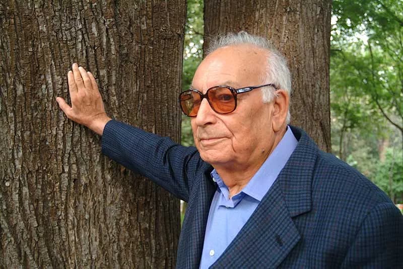 İnce Memed: Bir Çocuktan Bir Efsaneye — Çukurova'nın Sesi